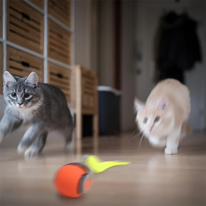 🐾 Interaktiver Spielball für Hunde & Katzen – Automatische Bewegung gegen Langeweile